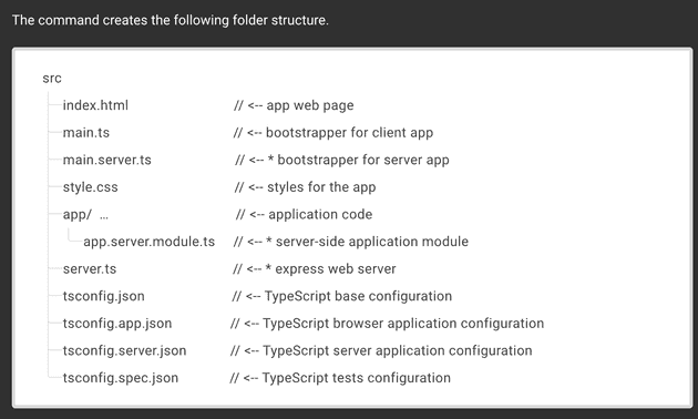 Project Structure After Generate Angular Universal Packages 